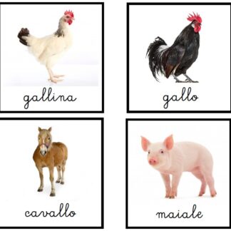 Carte delle nomenclature degli animali della FATTORIA in INGLESE
