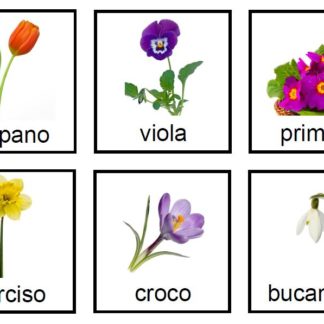 Carte delle nomenclature dei nomi dei FIORI in ITALIANO