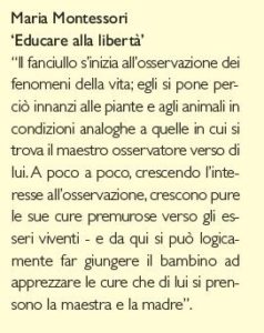 Citazione montessori