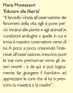 Citazione montessori