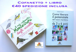 cofanetto montessori degli uccelli ippocampo