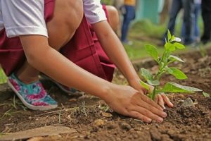 attività di vita pratica montessori