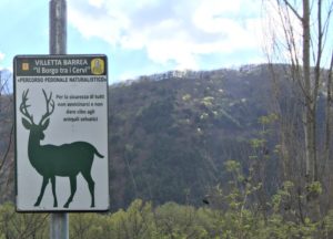 Attività da fare in montagna 3-6 anni