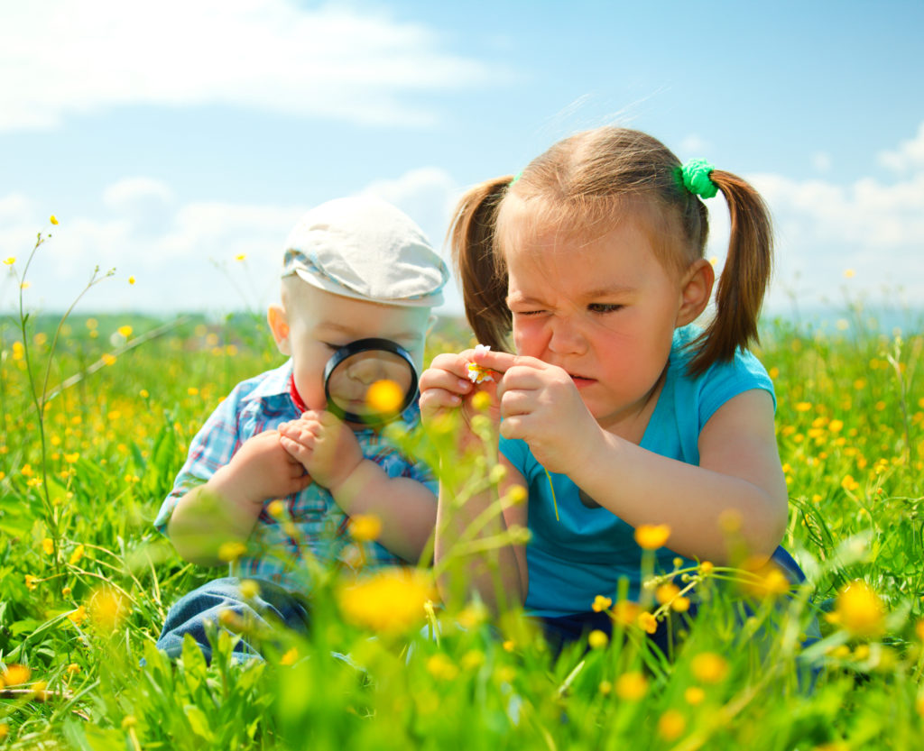 attività per scoprire gli insetti