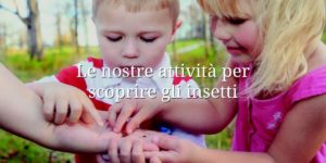 Giochi con gli animali