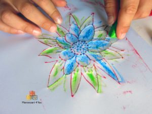 attività Montessori sul fiore