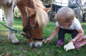 attività in città per bambini