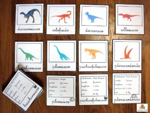 Laboratorio e kit attività dinosauri 3-6 anni